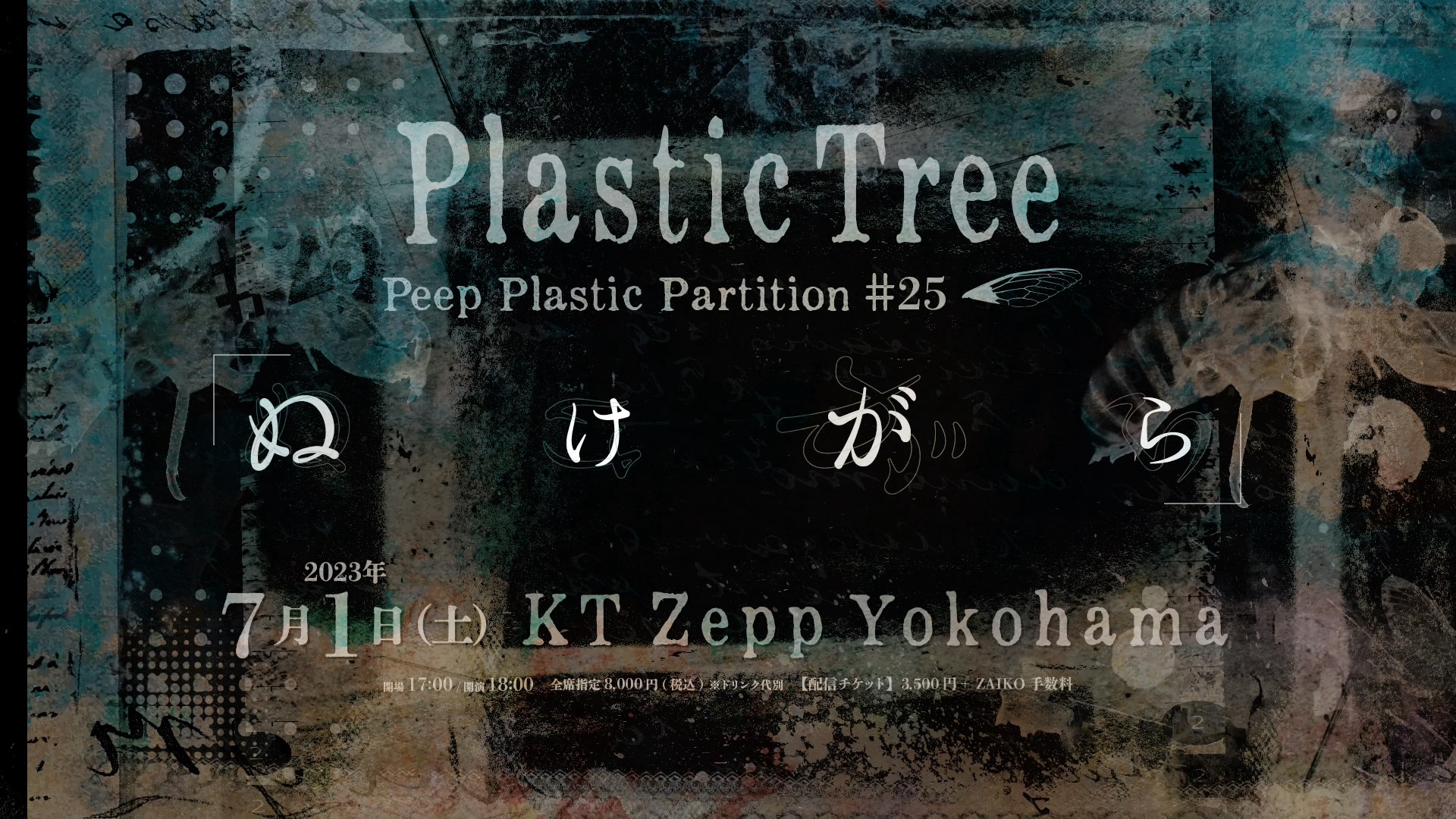 Plastic Tree「Peep Plastic Partition #25 「ぬけがら」」生配信決定 