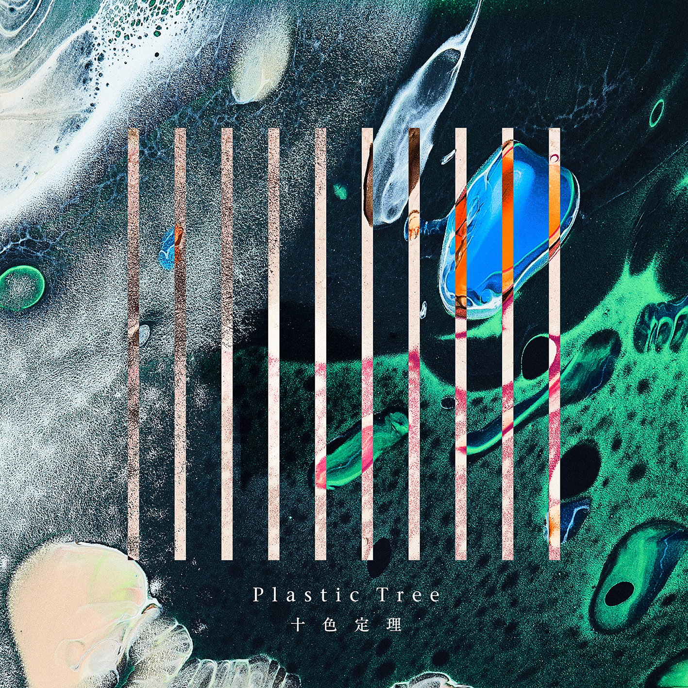 Plastic Tree】 New Album「十色定理」新ビジュアル、ジャケット、商品 